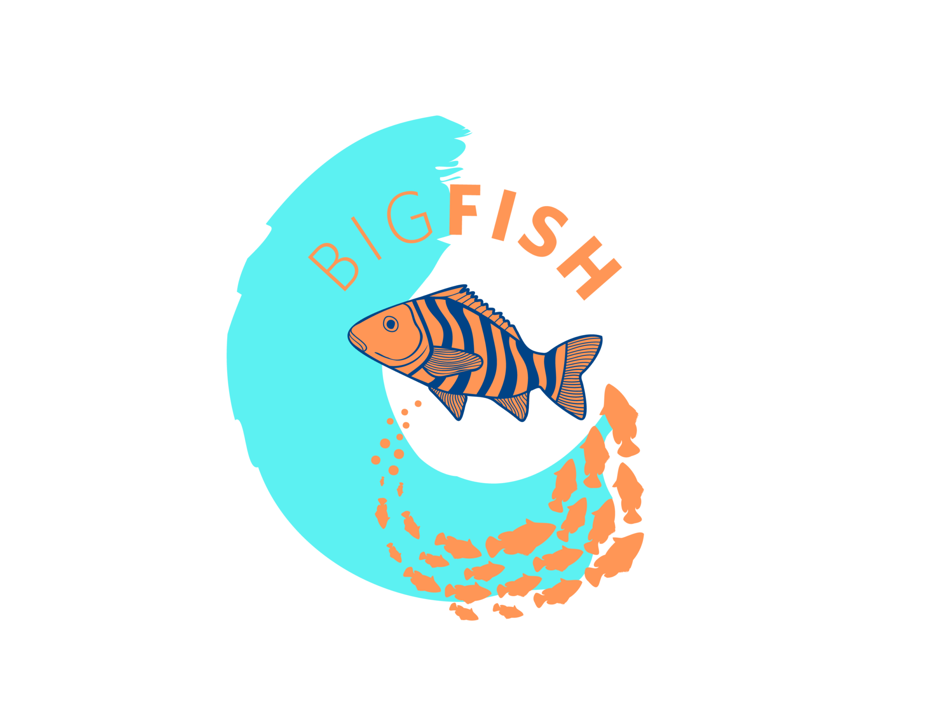 Big Fish Initiative 